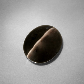4.11克拉天然灰色Sillimanite Cat's Eye，透明，10.5×8.8毫米，透明/半透明