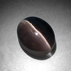 3.96克拉天然灰色Sillimanite Cat's Eye，椭圆形切割，9.5×7.5毫米，半透明