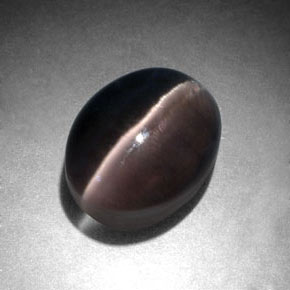 3.96克拉天然灰色Sillimanite Cat's Eye，椭圆形切割，9.5×7.5毫米，半透明