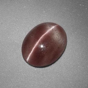 1.60克拉天然棕色Sillimanite Cat's Eye，椭圆形切割，9.3×7.4毫米，半透明