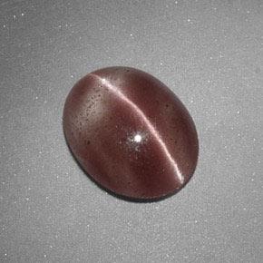 1.60克拉天然棕色Sillimanite Cat's Eye，椭圆形切割，9.3×7.4毫米，半透明