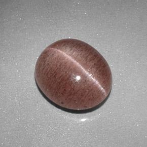 2.04克拉天然棕色Sillimanite Cat's Eye，椭圆形切割，8.8×7.6毫米，半透明