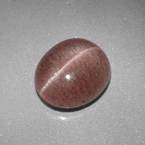 2.04克拉天然棕色Sillimanite Cat's Eye，椭圆形切割，8.8×7.6毫米，半透明