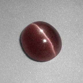 1.64克拉天然棕色Sillimanite Cat's Eye，椭圆形切割，8.4×7.5毫米，不透明