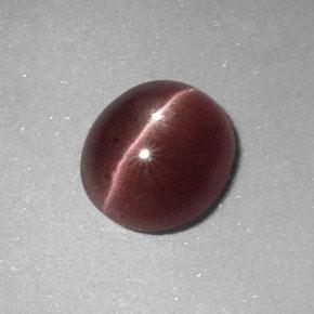 1.64克拉天然棕色Sillimanite Cat's Eye，椭圆形切割，8.4×7.5毫米，不透明