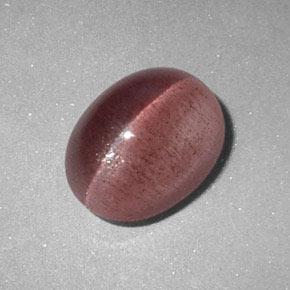 2.89克拉天然粉色Sillimanite Cat's Eye，椭圆形切割，9.6×7.4毫米，半透明