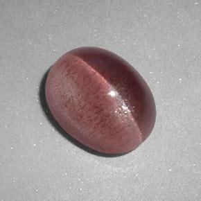 2.89克拉天然粉色Sillimanite Cat's Eye，椭圆形切割，9.6×7.4毫米，半透明