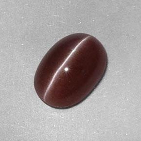 2.05克拉天然棕色Sillimanite Cat's Eye，椭圆形切割，9.6×6.7毫米，不透明