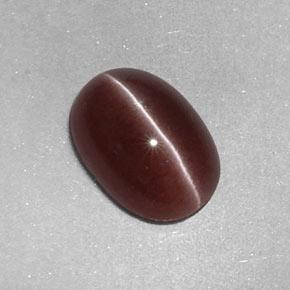 2.05克拉天然棕色Sillimanite Cat's Eye，椭圆形切割，9.6×6.7毫米，不透明