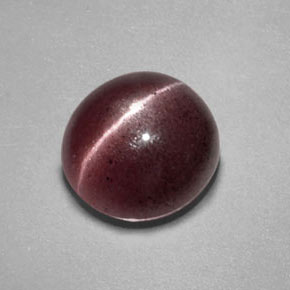 2.55克拉天然棕色Sillimanite Cat's Eye，透明，8.8×8.4毫米，透明/半透明