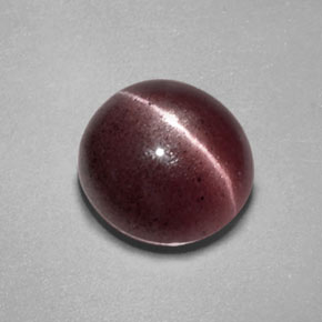 2.55克拉天然棕色Sillimanite Cat's Eye，透明，8.8×8.4毫米，透明/半透明