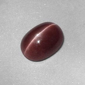 1.58克拉天然棕色Sillimanite Cat's Eye，椭圆形切割，8.8×6.4毫米，不透明