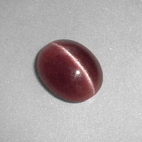 1.26克拉天然棕色Sillimanite Cat's Eye，透明，8.1×6.6毫米，透明/半透明