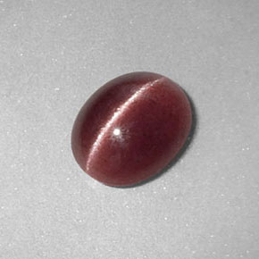 1.26克拉天然棕色Sillimanite Cat's Eye，透明，8.1×6.6毫米，透明/半透明