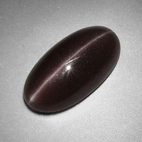 7.07克拉天然棕色Sillimanite Cat's Eye，椭圆形切割，17.3×9毫米，不透明