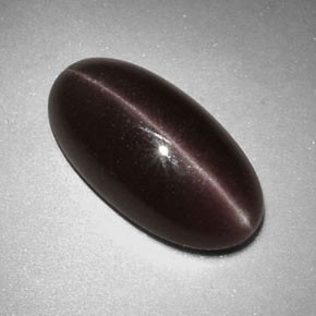 7.07克拉天然棕色Sillimanite Cat's Eye，椭圆形切割，17.3×9毫米，不透明