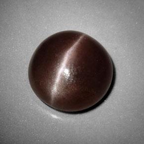 6.99克拉天然棕色Sillimanite Cat's Eye，圆形切割，12.35毫米，不透明
