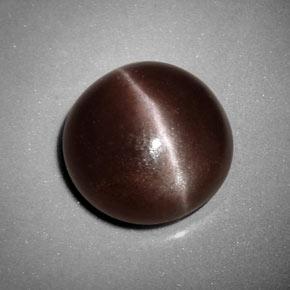6.99克拉天然棕色Sillimanite Cat's Eye，圆形切割，12.35毫米，不透明