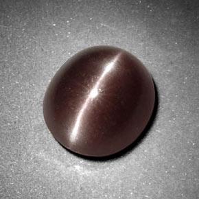 3.29克拉天然棕色Sillimanite Cat's Eye，椭圆形切割，9.6×8.4毫米，不透明