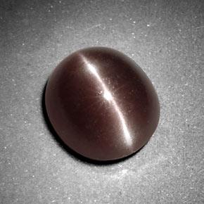 3.29克拉天然棕色Sillimanite Cat's Eye，椭圆形切割，9.6×8.4毫米，不透明