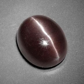 3.85克拉天然棕色Sillimanite Cat's Eye，椭圆形切割，10.5×8.7毫米，不透明