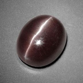 3.85克拉天然棕色Sillimanite Cat's Eye，椭圆形切割，10.5×8.7毫米，不透明
