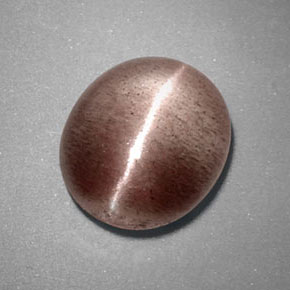 3.38克拉天然棕色Sillimanite Cat's Eye，透明，10.4×9毫米，透明/半透明
