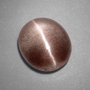 3.38克拉天然棕色Sillimanite Cat's Eye，透明，10.4×9毫米，透明/半透明
