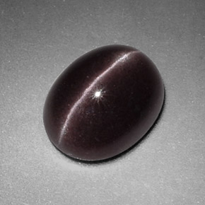 2.88克拉天然棕色Sillimanite Cat's Eye，椭圆形切割，10.2×8.1毫米，不透明
