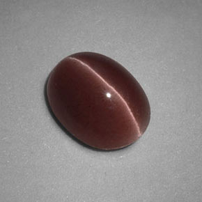 1.98克拉天然棕色Sillimanite Cat's Eye，椭圆形切割，8.8×6.8毫米，不透明