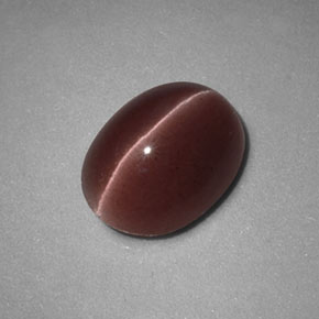 1.98克拉天然棕色Sillimanite Cat's Eye，椭圆形切割，8.8×6.8毫米，不透明