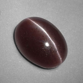 3.47克拉天然棕色Sillimanite Cat's Eye，椭圆形切割，11.8×8.5毫米，不透明