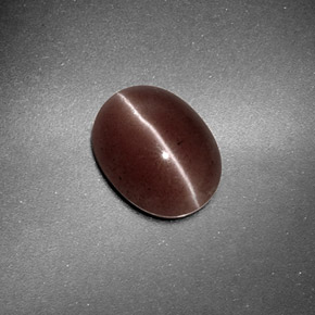 1.59克拉天然棕色Sillimanite Cat's Eye，椭圆形切割，9.2×7.2毫米，半透明