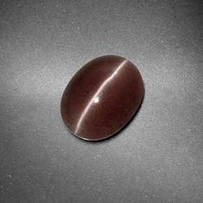 1.59克拉天然棕色Sillimanite Cat's Eye，椭圆形切割，9.2×7.2毫米，半透明