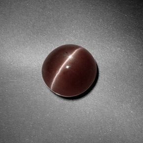 1.82克拉天然棕色Sillimanite Cat's Eye，圆形切割，7.32毫米，半透明