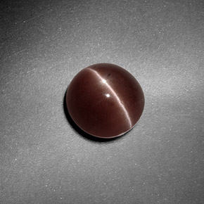 1.82克拉天然棕色Sillimanite Cat's Eye，圆形切割，7.32毫米，半透明