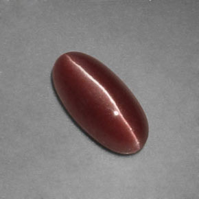 1.12克拉天然棕色Sillimanite Cat's Eye，透明，9.3×4.5毫米，透明/半透明