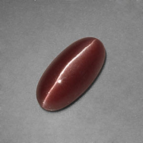 1.12克拉天然棕色Sillimanite Cat's Eye，透明，9.3×4.5毫米，透明/半透明
