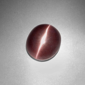 3.29克拉天然棕色Sillimanite Cat's Eye，椭圆形切割，9.9×8.4毫米，不透明