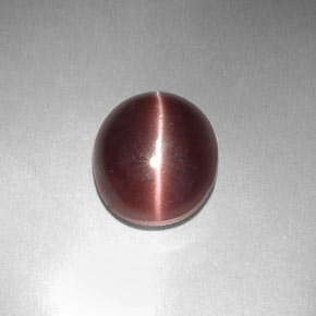 3.29克拉天然棕色Sillimanite Cat's Eye，椭圆形切割，9.9×8.4毫米，不透明