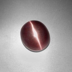 3.29克拉天然棕色Sillimanite Cat's Eye，椭圆形切割，9.9×8.4毫米，不透明