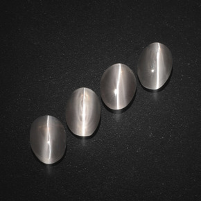 天然灰色Sillimanite Cat's Eye，椭圆形切割，7.1×4.6毫米，半透明