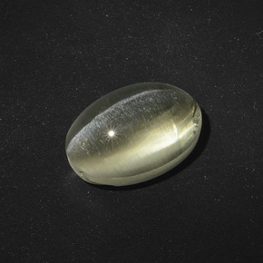 5.56克拉天然棕色Sillimanite Cat's Eye，椭圆形切割，11.8×8.1毫米，半透明