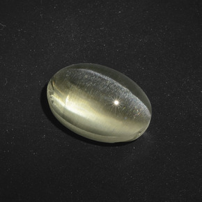 5.56克拉天然棕色Sillimanite Cat's Eye，椭圆形切割，11.8×8.1毫米，半透明