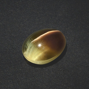 3.02克拉天然棕色Sillimanite Cat's Eye，椭圆形切割，9.1×7.1毫米，半透明