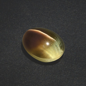 3.02克拉天然棕色Sillimanite Cat's Eye，椭圆形切割，9.1×7.1毫米，半透明