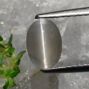 1.23克拉天然硅线石猫眼，椭圆形切割，半透明