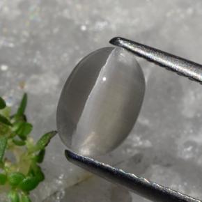 1.23克拉天然硅线石猫眼，椭圆形切割，半透明