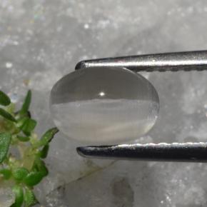 1.23克拉天然硅线石猫眼，椭圆形切割，半透明