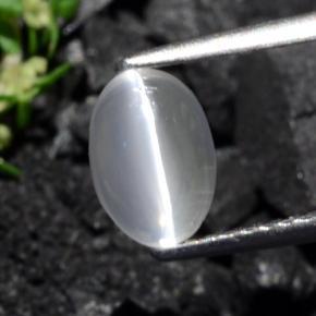 1.40克拉天然硅线石猫眼，椭圆形切割，透明
